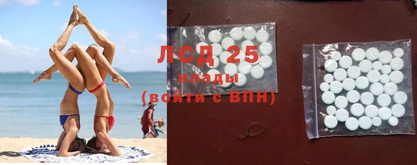 стаф Беломорск