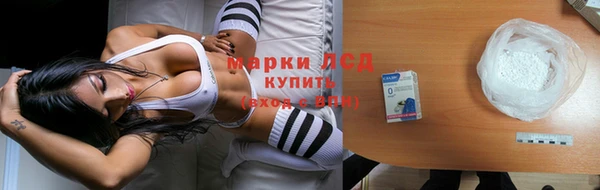 стаф Беломорск