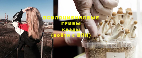 амф Белоозёрский
