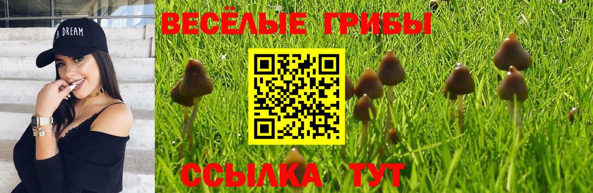 Псилоцибиновые грибы Cubensis  Вход с VPN  Дальнегорск  магазин  наркотиков  Псилоцибиновые грибы Cubensis 